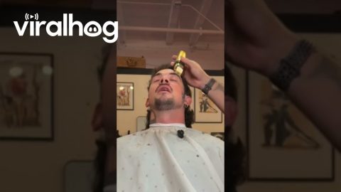 Talking Barber Client Raises Eyebrows At Wrong Moment || ViralHog