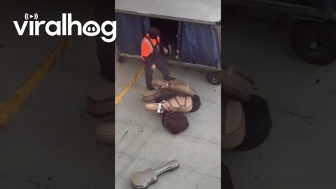 Airline Employee Caught Throwing Guitar Cases On Ground || ViralHog