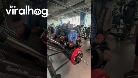 Body Builder's Extreme Leg Presses || ViralHog