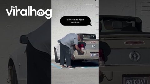 Dollar Store Parking Lot Paint Job || ViralHog Shorts
