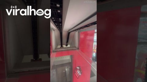 POV You're A Bag On The Fast Food Conveyor Belt System || ViralHog