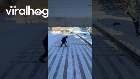 Checkerboard Snow Removal || ViralHog
