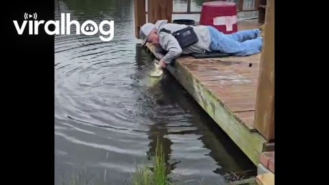 Man Catches Giant Bass With His Bare Hands || ViralHog