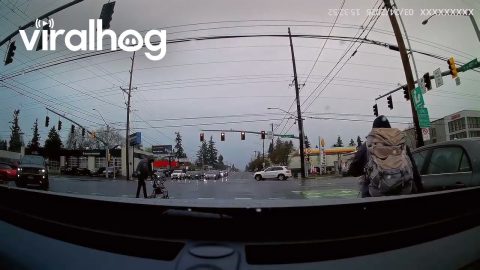 Elderly Woman Nearly Hits Pedestrians In Crosswalk, Then Reverses Into Them || ViralHog