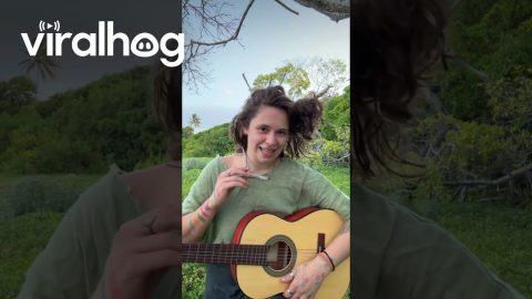 Musician Rolls With It When Hair Gets Tangled In Tree Branch || ViralHog