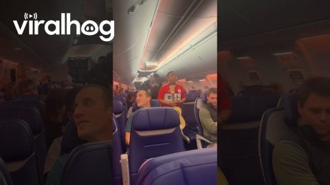 Tucson Mariachi Band Plays on Flight || ViralHog