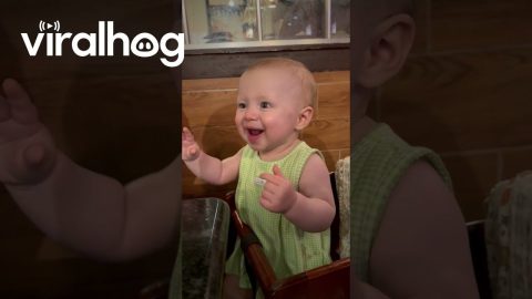 Daughter Loves Trying Lemon || ViralHog