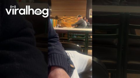Dog And Owner Share Pizza At Public Restaurant || ViralHog