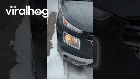 No Reason to Check the Headlight || ViralHog