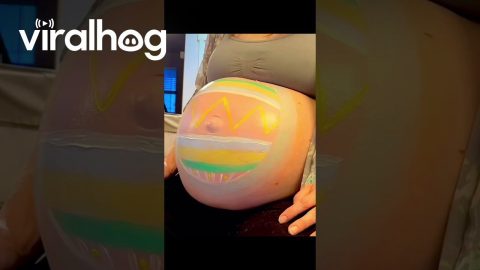 Easter Egg Baby Bump || ViralHog