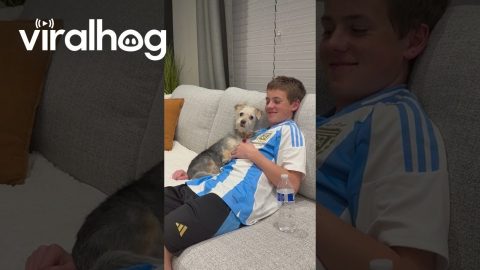 Noah and Penny Are Best Friends || ViralHog