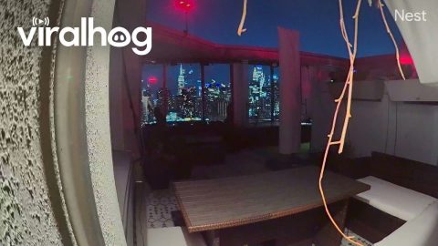 Meteor-Like Streak Caught on NYC Security Camera || ViralHog