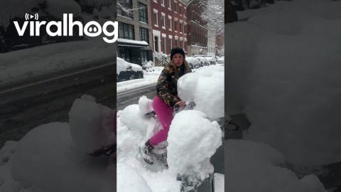 Attempting Romantic Bicycle Ride After NYC Snowstorm || ViralHog