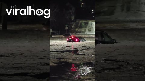 Two Cars Caught in Grand Rapids Flash Flood || ViralHog