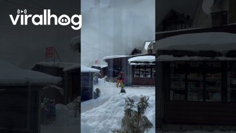 Controlled Avalanche at Cheget Glade Ski Resort || ViralHog