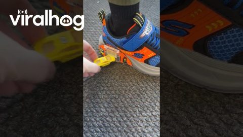 Car Garage Shoes || ViralHog