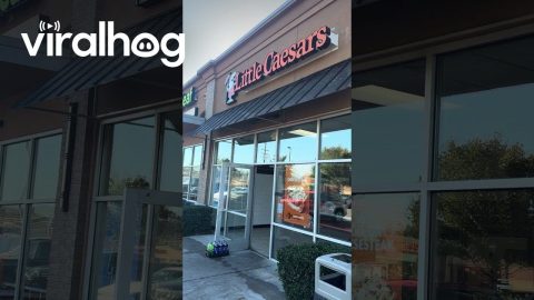 Pizza Place Takes Dirty Dough From Employee's Trunk || ViralHog