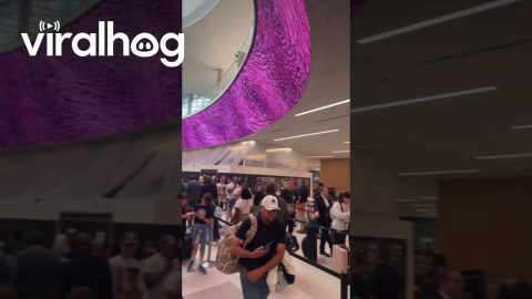 Long Lines at Houston’s Bush Airport Due to TSA Shortage || ViralHog