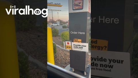 We Had the Weirdest Drive-Thru Experience || ViralHog