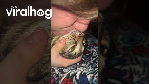 Doobie the Cat Has a Lot to Say || ViralHog