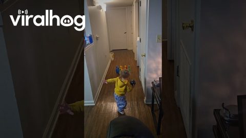 Grandson's Unusual Bowling Technique Gets Results || ViralHog
