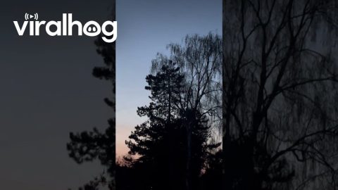 Blazing Meteor Seen In Sky Over Germany || ViralHog