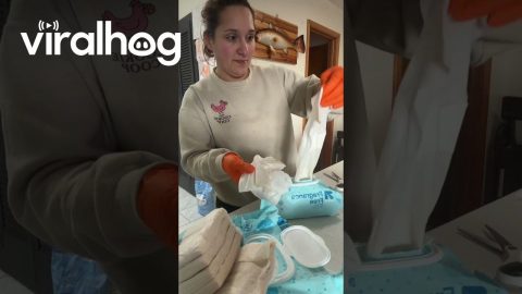 Mom Finds Something Unexpected Inside Baby Wipes Package || ViralHog