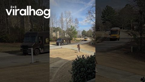 UPS Driver Always Has Love to Give || ViralHog