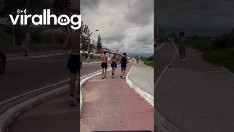 Runner Trips On Raised Sidewalk Bump || ViralHog