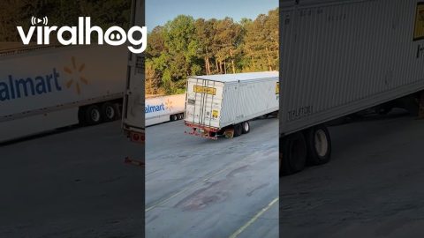 Collective Ooh As Trailer Tips || ViralHog