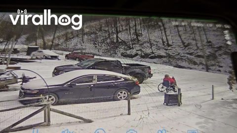 Husband Chases After Wife's Runaway Wheelchair || ViralHog
