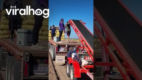 Having Fun at Work With the Conveyor Belt || ViralHog