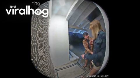 Post Head Spa Sprawl || ViralHog