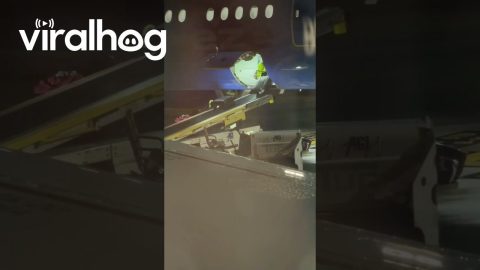Baggage Toss and Drop || ViralHog
