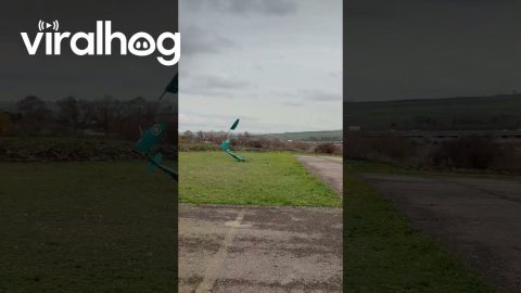 Model Aircraft Immediately Crashes During Inaugural Flight || ViralHog