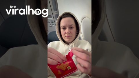 Flight Snack Misfortune || ViralHog