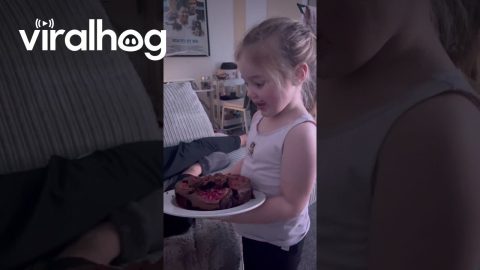 Half-Eaten Icing Makes For Wholesome Birthday Cake || ViralHog