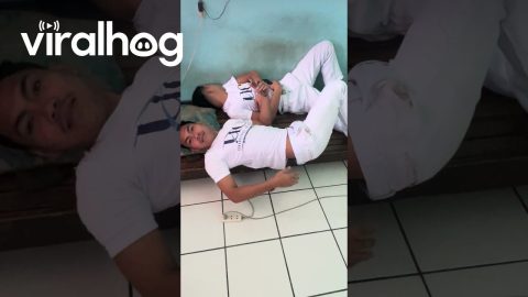 Guy Doesn't Notice Crawling Cockroach || ViralHog