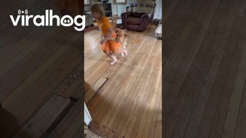 Daughter And Dog Spin Together || ViralHog