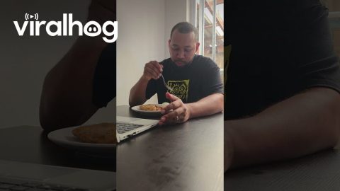 Microwaved Boiled Egg Pops Open || ViralHog