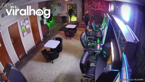 Montana Man Attempts To Enter Bar's Back Door On Horseback || ViralHog