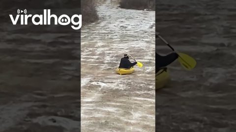 Kayak Sledding in Georgia || ViralHog