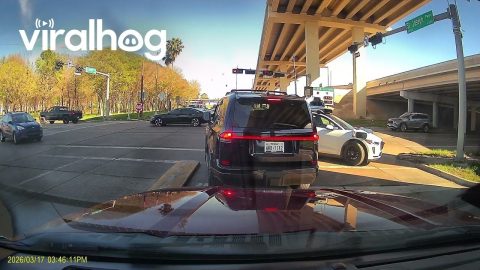 Self-Driving Car Attempts to Enter HOV Lane Going the Wrong Direction || ViralHog
