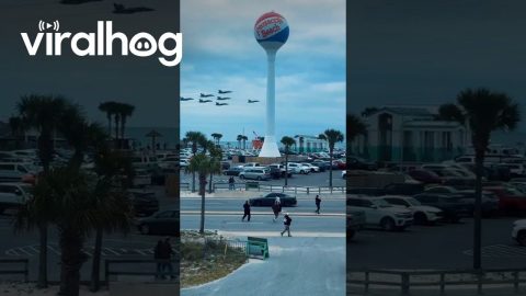 Blue Angels Beach Buzz || ViralHog