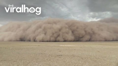 Massive Sandstorm Wall Recorded in Inner Mongolia, China || ViralHog