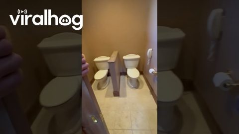 Two Toilet Bathroom || ViralHog