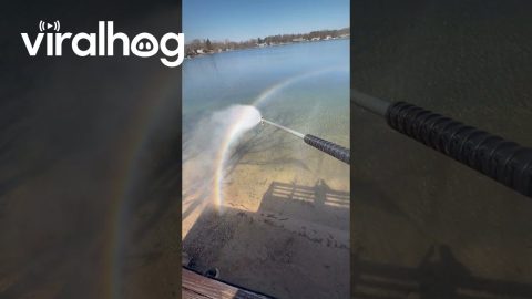 Window Cleaner Can Make Rainbows and Gold || ViralHog