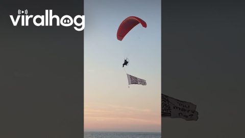 Paragliding Proposal During Sunset in La Union || ViralHog