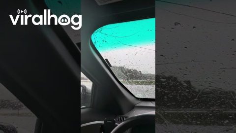 Severe Hail Storm Damage Caught on Camera || ViralHog