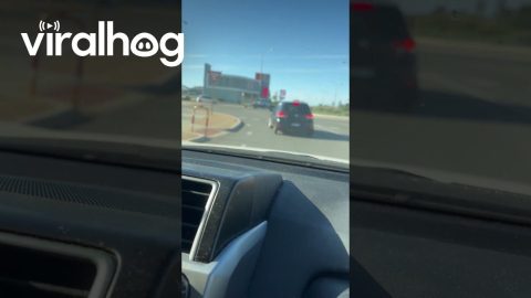 Is That a Bicycle Tire on a Car? || ViralHog